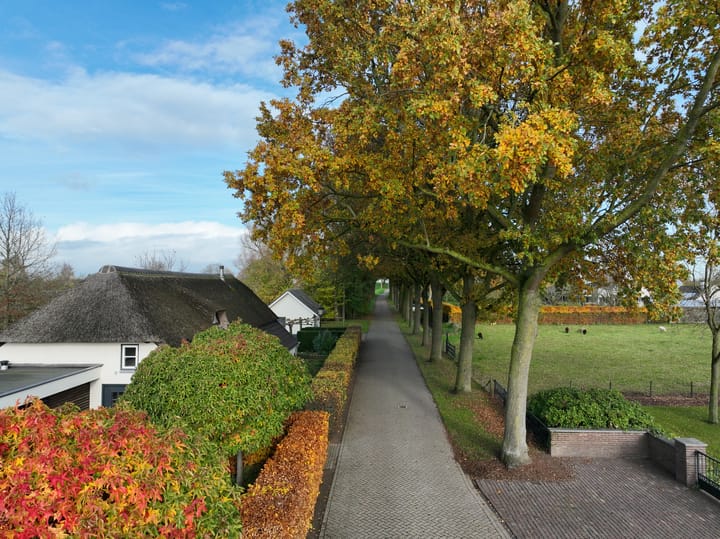 Foto 64 van Haneman 1