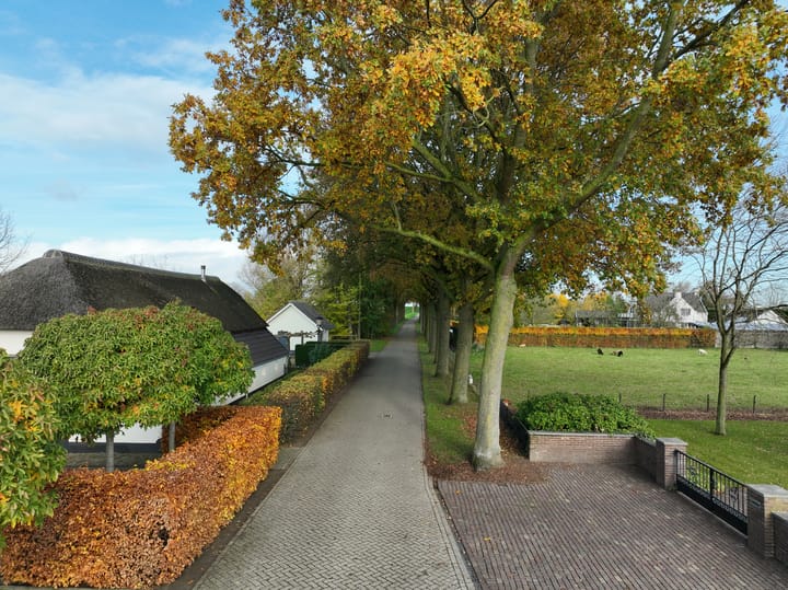 Foto 81 van Haneman 1