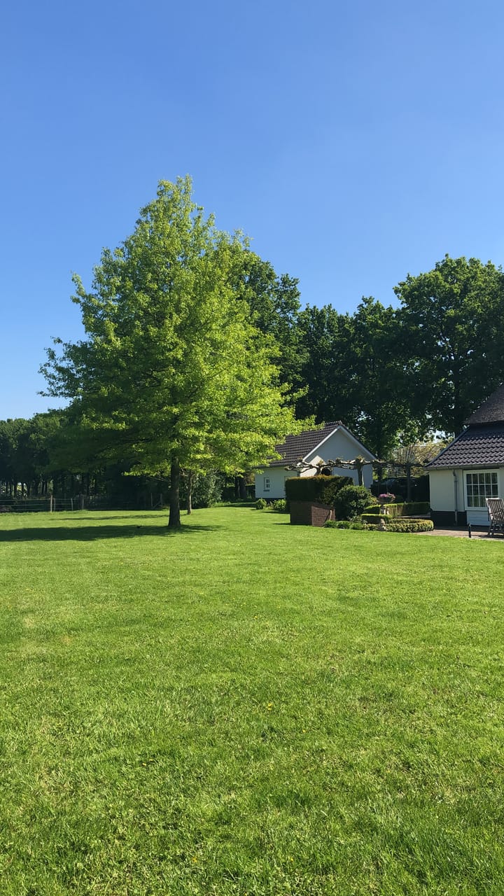 Foto 84 van Haneman 1