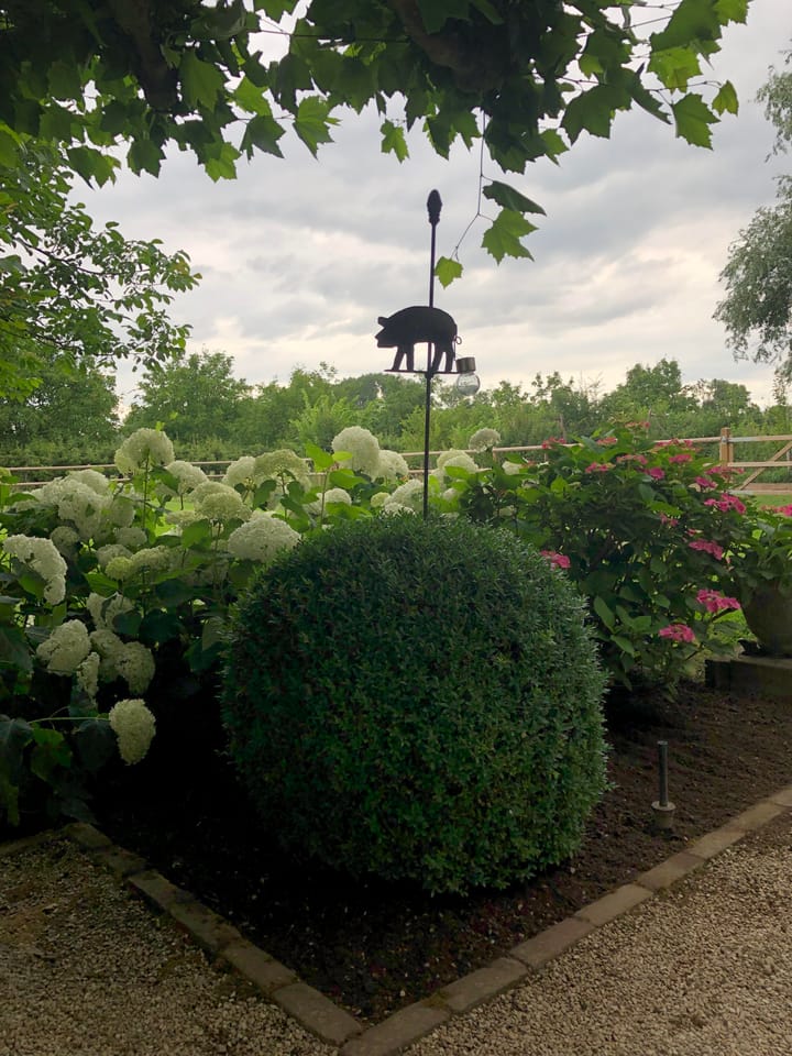 Foto 85 van Haneman 1