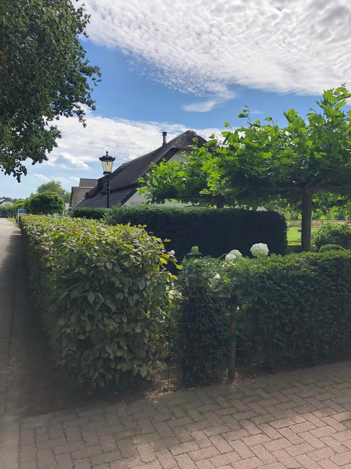 Foto 86 van Haneman 1