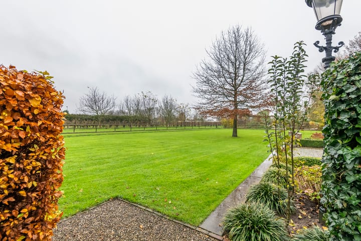 Foto 89 van Haneman 1