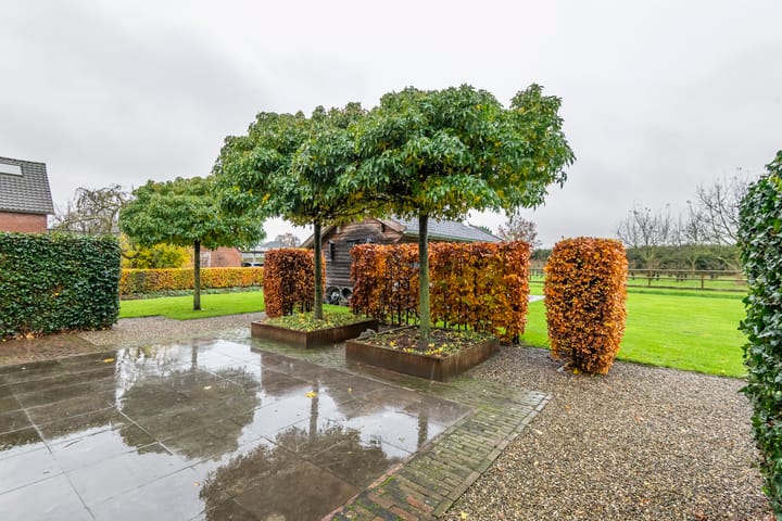 Foto 91 van Haneman 1