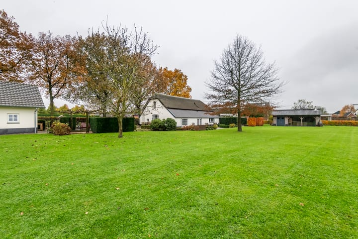 Foto 92 van Haneman 1