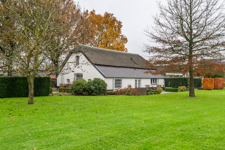 Foto 100 van Haneman 1