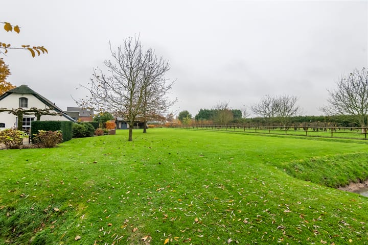 Foto 101 van Haneman 1