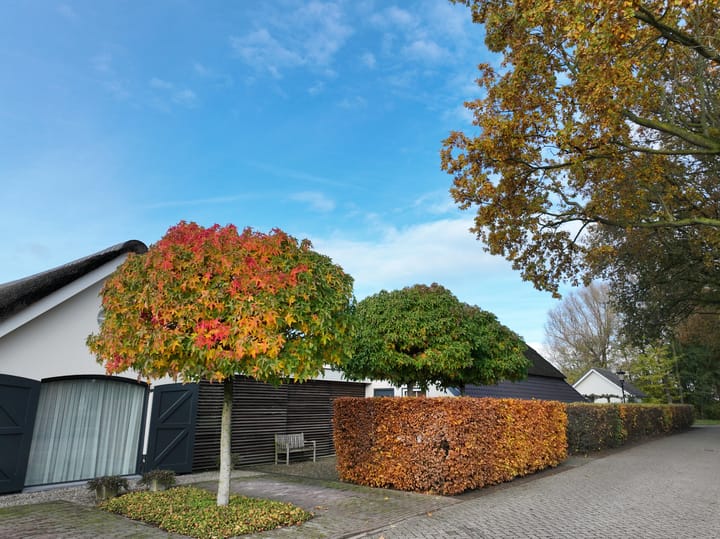 Foto 104 van Haneman 1