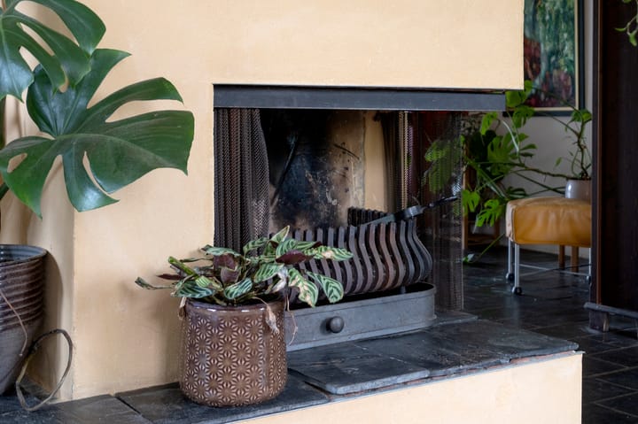 Foto 6 van Oosterkamp 12