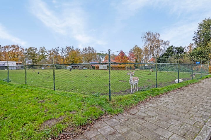 Foto 42 van Kwartelstraat 50