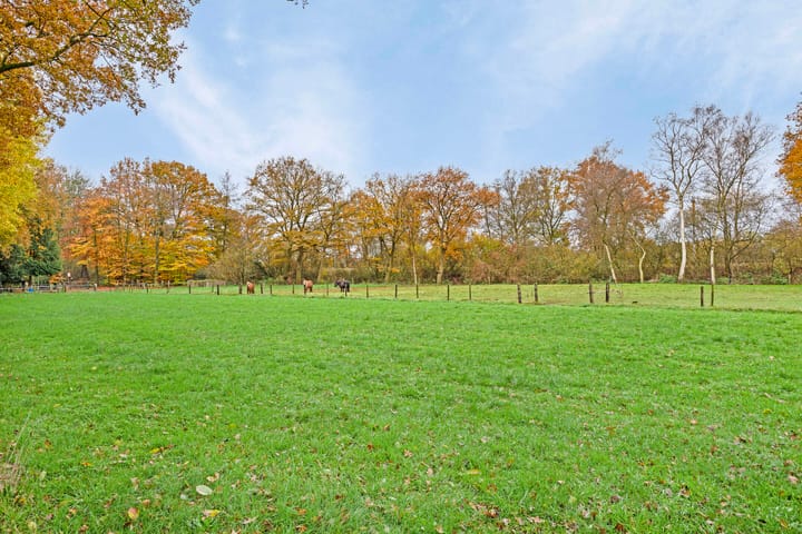 Foto 39 van Oude Zwolsestraat 14