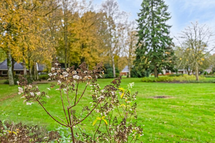 Foto 70 van Hereweg 282-A