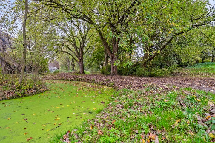 Foto 28 van Weigeliapark 59