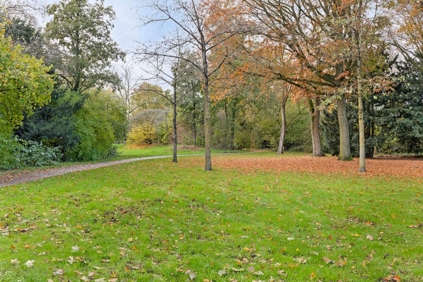 Photo 40 of Salmstraat 5