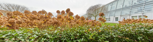 Bekijk 360° foto van Zonneterras van Prinses Beatrixpark 6