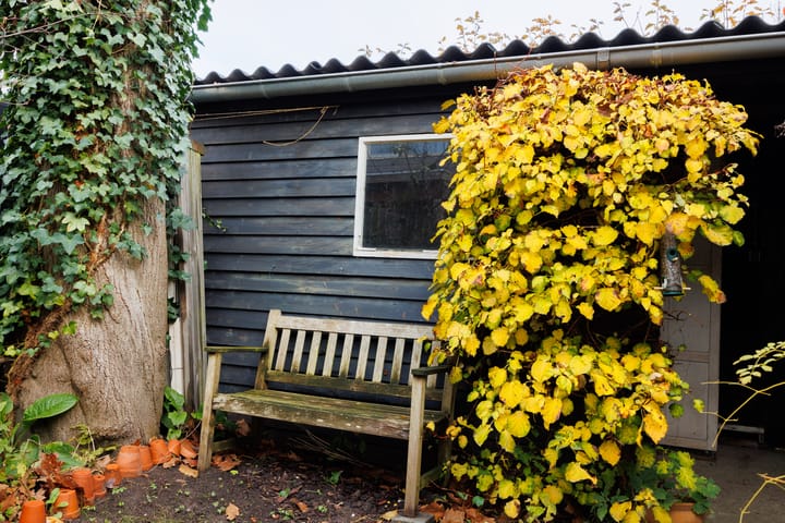 Foto 19 van Prof de Vrijerlaan 42