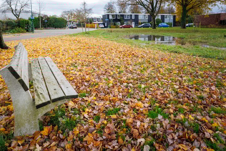 Foto 35 van Prof de Vrijerlaan 42