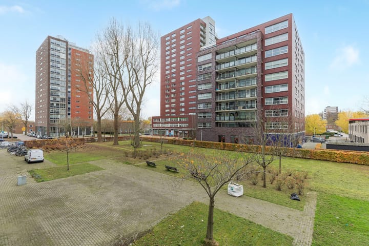 Foto 19 van Plein 1953 92