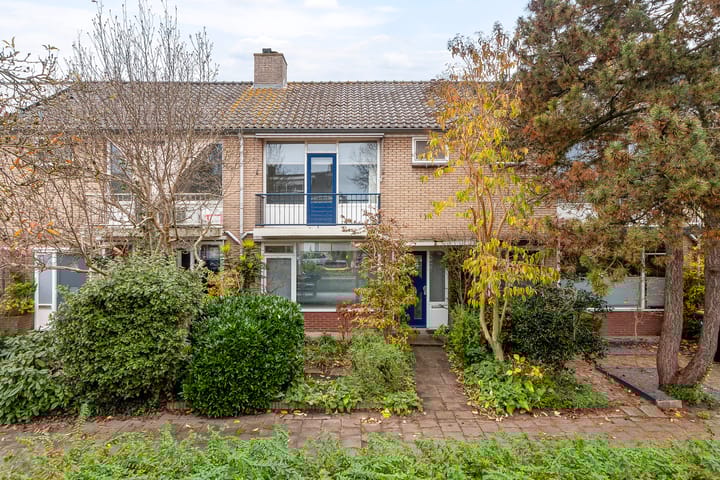 Foto 1 van Iepenlaan 22