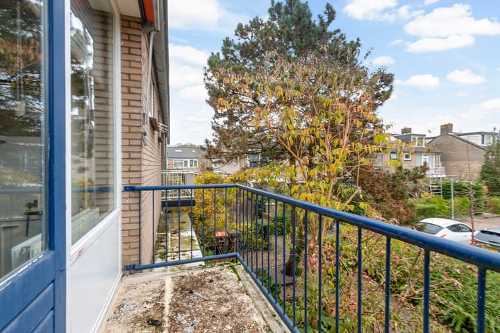 Foto 20 van Iepenlaan 22