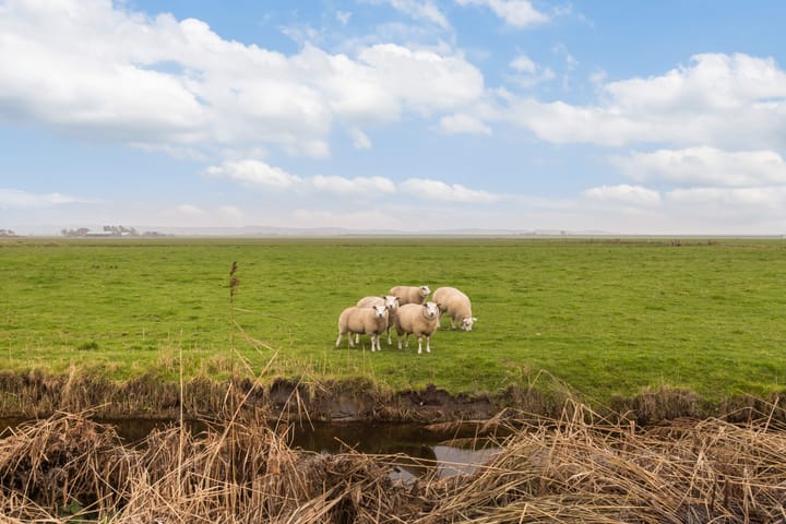 Foto 47 van Rijksweg 17