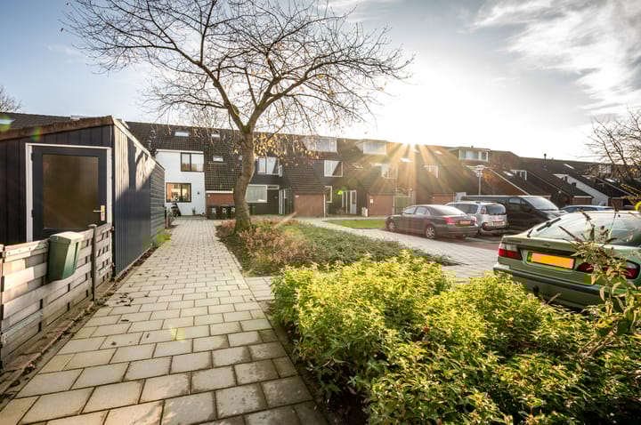 Foto 6 van Plantage 29