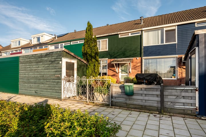 Foto 7 van Plantage 29