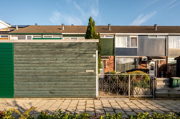 Foto 8 van Plantage 29