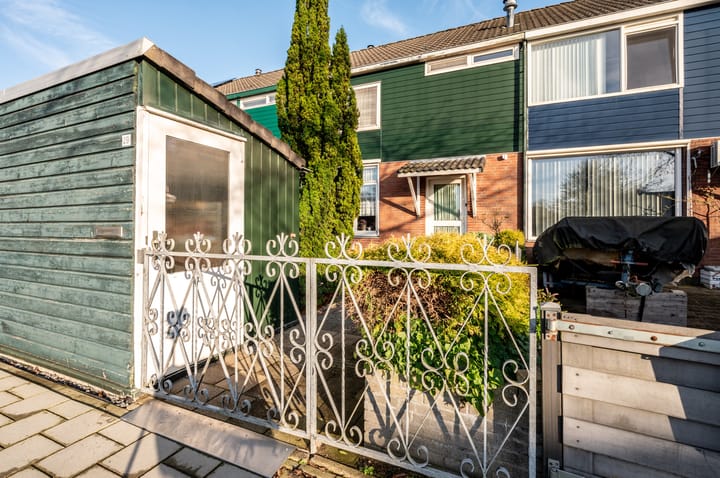 Foto 9 van Plantage 29