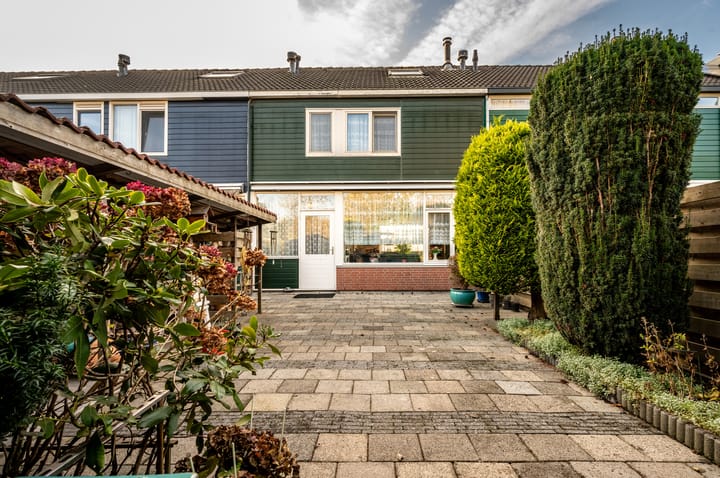 Foto 30 van Plantage 29