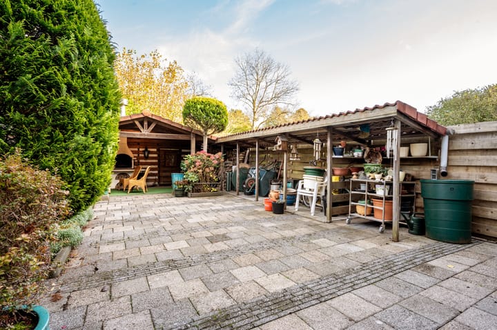 Foto 32 van Plantage 29