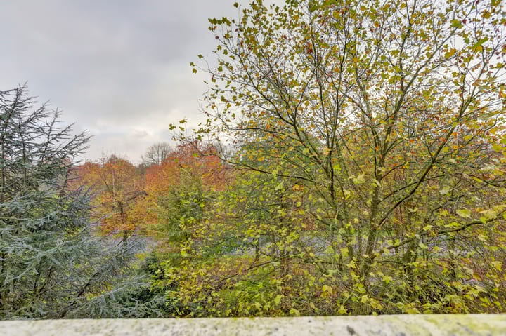 Foto 39 van Korfakker 48