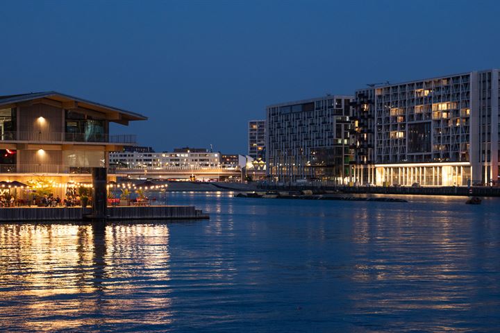 Bekijk foto 15 van Rijnhavenkade 246