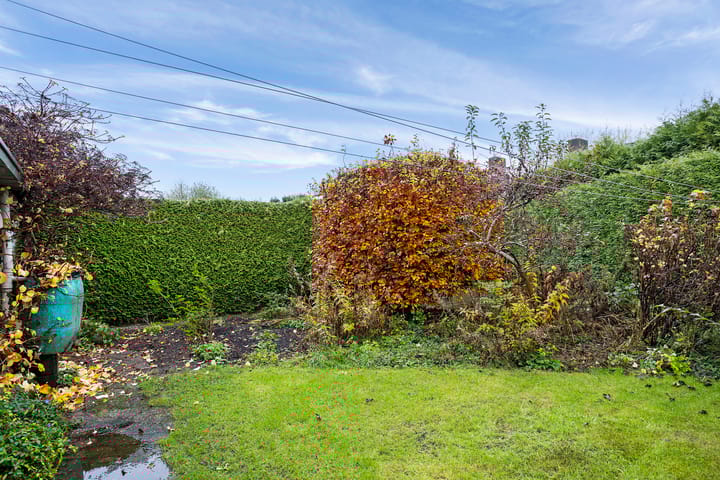 Foto 31 van van Bothniaplantsoen 11