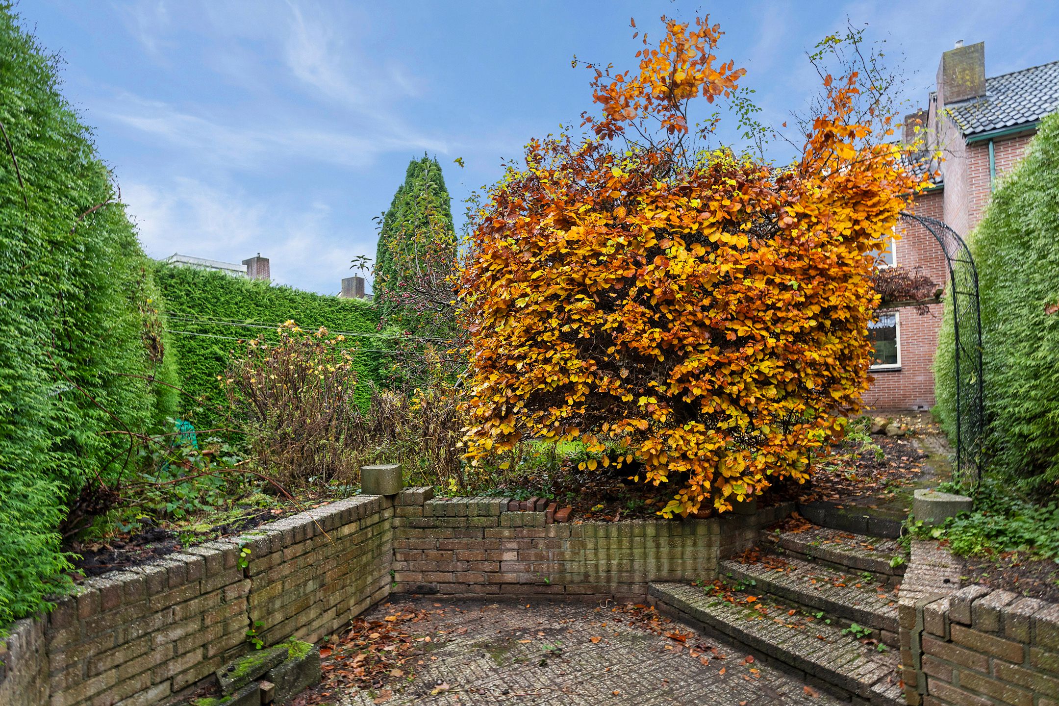 Foto 36 van van Bothniaplantsoen 11