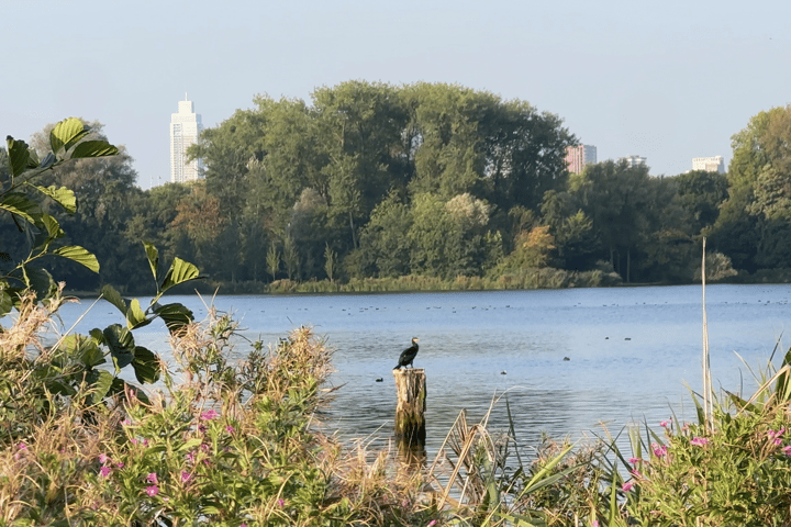 Photo 24 of Kralingseweg 161