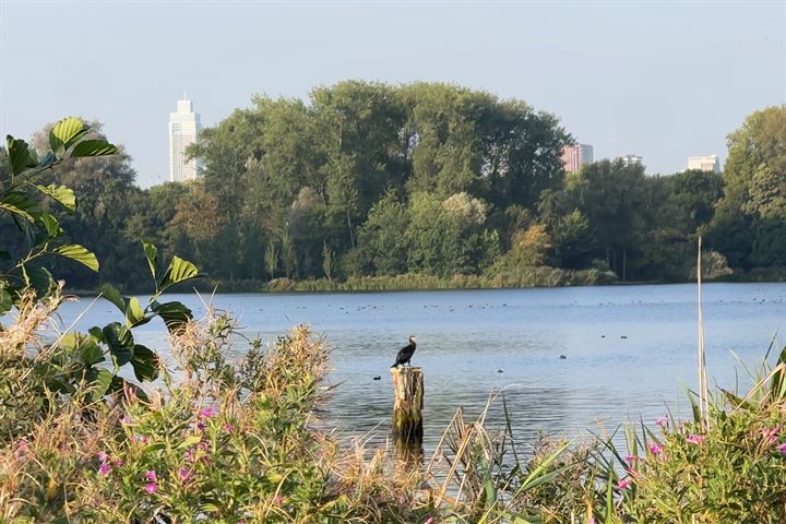 View photo 24 of Kralingseweg 161