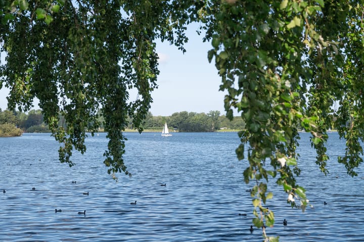 Photo 27 of Kralingseweg 161