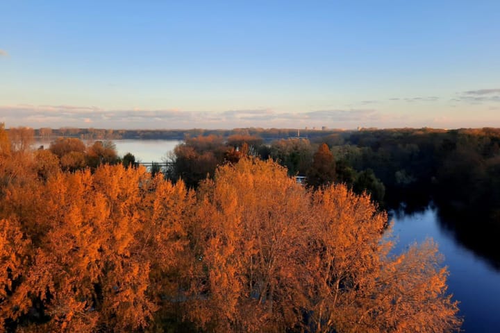 Photo 29 of Kralingseweg 161