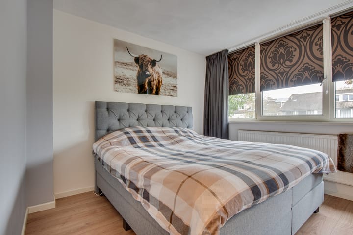 Foto 15 van Scorpius 30