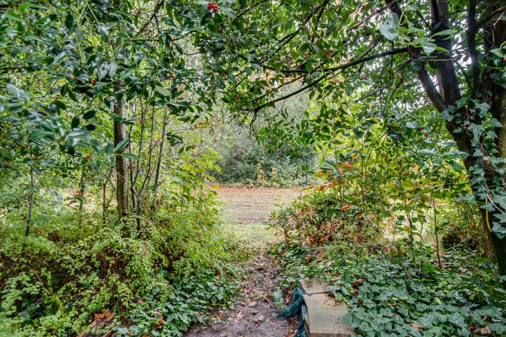 Foto 25 van Scorpius 30