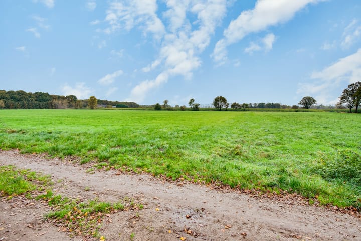 Foto 27 van Scorpius 30