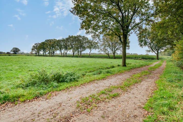 Foto 28 van Scorpius 30