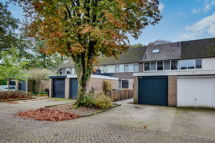 Foto 30 van Scorpius 30