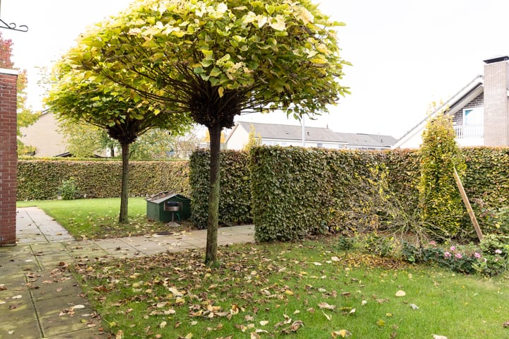 Foto 36 van Mesdagstraat 6