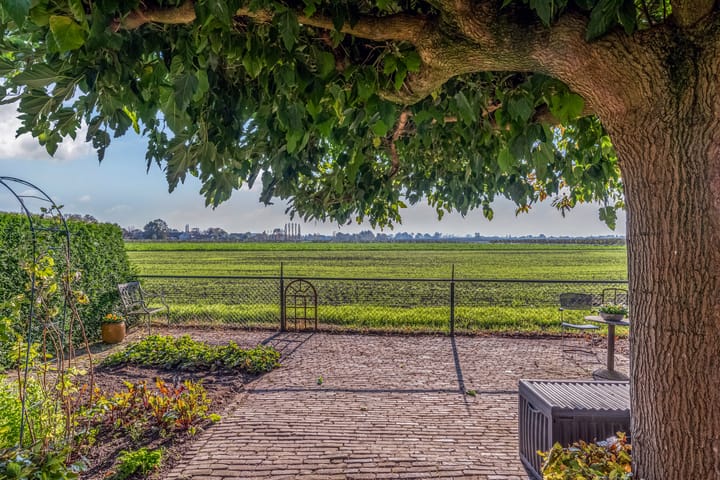 Foto 29 van Duisterestraat 25