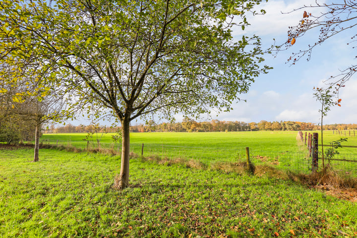 Bekijk foto 18 van Oerdijk 133-A