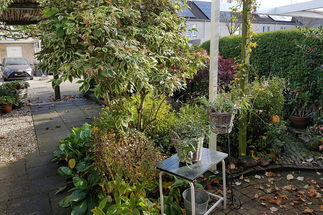 Foto 31 van Vosseveld 21