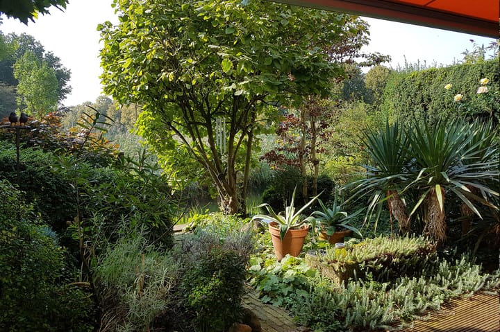 Foto 35 van Vosseveld 21