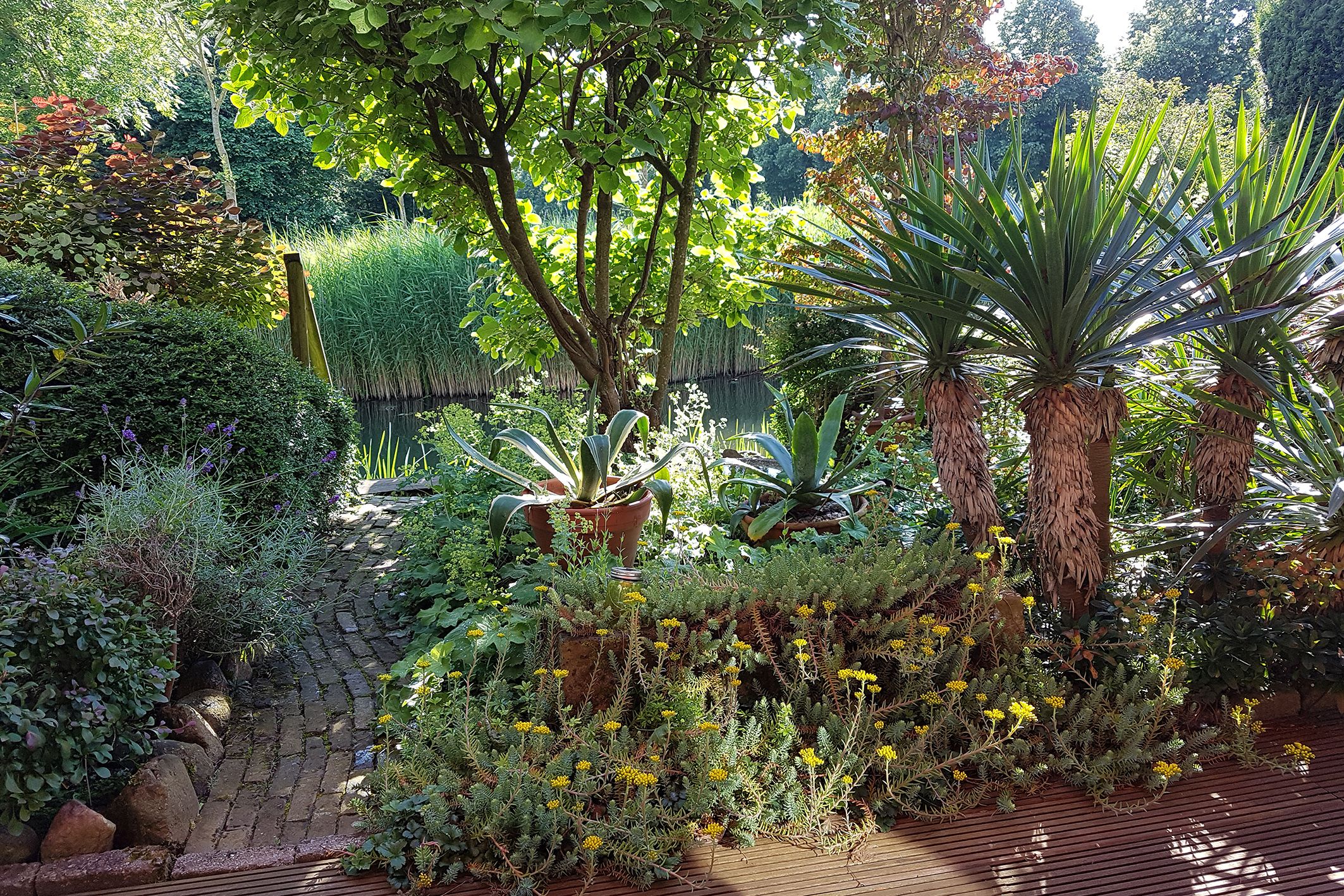 Foto 36 van Vosseveld 21