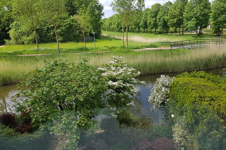 Foto 38 van Vosseveld 21